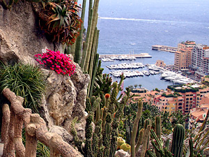 Jardin Exotique Monaco