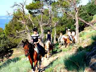 Cheval Esterel