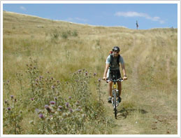VTT Estérel